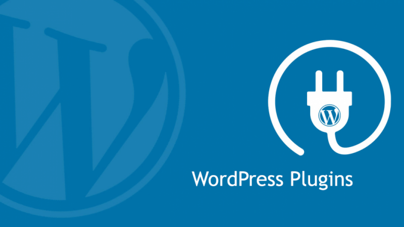 common WordPress mistake; WordPress Plugins